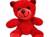 Kırmızı Peluş Oyuncak Ayıcık