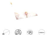 Decohandy 30x30 Cm Pvc Duvar Karosu 4'Lü Paket - Japon Çiçeği