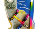 Multicolor Kedi Tasması