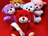 Renkli Peluş Ayıcık