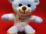 Seni Seviyorum Tişörtlü Peluş Ayıcık 