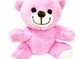 Pembe Peluş Oyuncak Ayıcık 