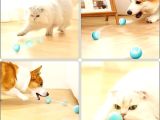 İnteraktif Kedi Köpek Şarjlı Oyun Topu