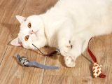 Peluş Fare Kedi Oyuncağı 3 Adet