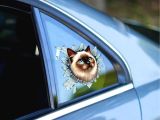 Fulcar Siamesse Araç Stickerı