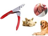Kedi Köpek Giyotin Tırnak Makası