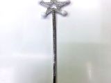 Yıldız Şeklinde Gösteri Asası