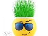 Çim Adam Saksı Emoji Figürlü 1 Adet
