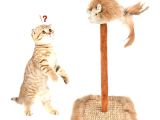 Sesli Oyuncaklı Kedi Tırmalama Tahtası 