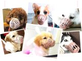 Köpek Koruma Ağızlığı 7'li Set