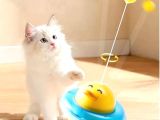 UFO Şekilli Ördek Kedi Oyuncağı