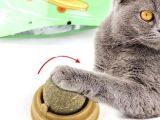 Kedi Nanesi Oyun Topu