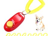 KÖPEK EĞITIMI CLICKER