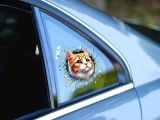 Fulcar Sarman Araç Stickerı 
