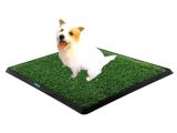 Köpek Tuvalet Eğitim Seti