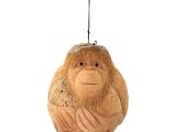 Coconat Maymun Büstü Model 1 