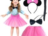 Minnie Kostüm Seti (Pembe Tütü Etek + Pembe Taç + Papyon + Kuyruk)