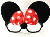 Minnie Mouse Gözlük Seti