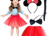 Minnie Mouse Kostüm Seti - Etek, Taç, Kuyruk, Papyon 