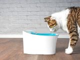 Otomatik Uyarılı Kedi Köpek Su Kabı