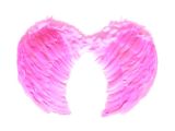 Pembe Melek Kanadı Kostümü Küçük