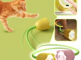 Hareketli Çiçek Kedi Oyuncağı